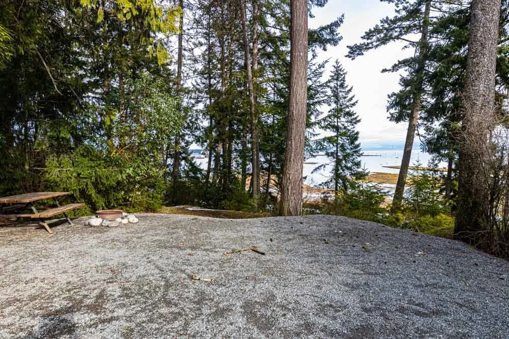 Living Forest Oceanside Campground RV Park Review Expose the Wild